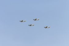 ASUDA ASMANYMYZYŇ DEMIR BÜRGÜTLERI