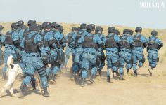 Harby gullukçylaryň ebedi hemrasy