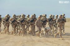 Harby gullukçylaryň ebedi hemrasy