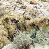 Milli goşunyň duýdansyz barlagy