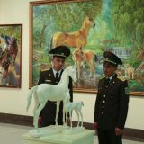 Türkmen bedewiniň baýramyna bagyşlanan sergi