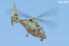 «Türkmen edermen» ýörite maksatly toparlary ussatlyklaryny kämilleşdirýärler