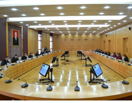 Adam hukuklaryny üpjün etmek boýunça pudagara toparyň mejlisi