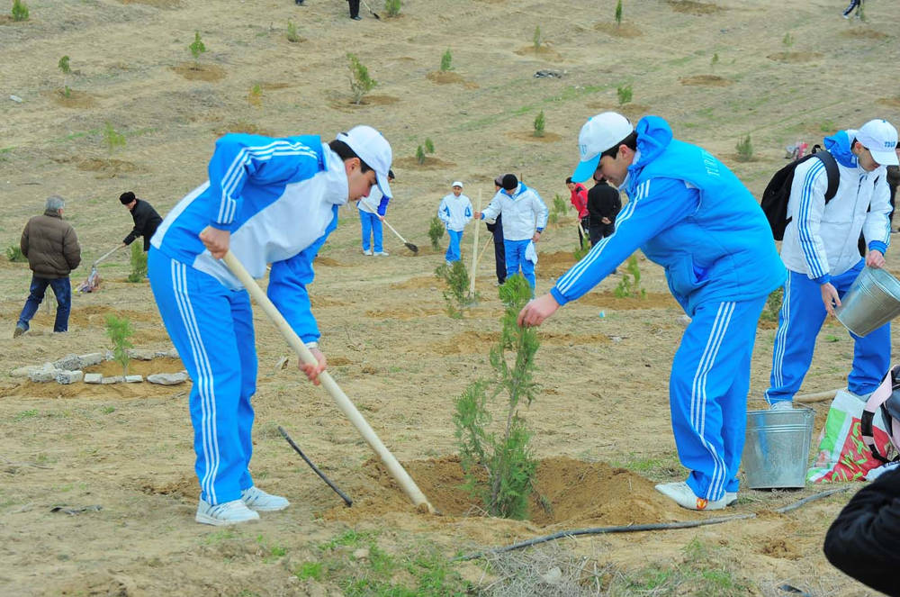 Ählihalk ýowary ýokary guramaçylykly geçiriler