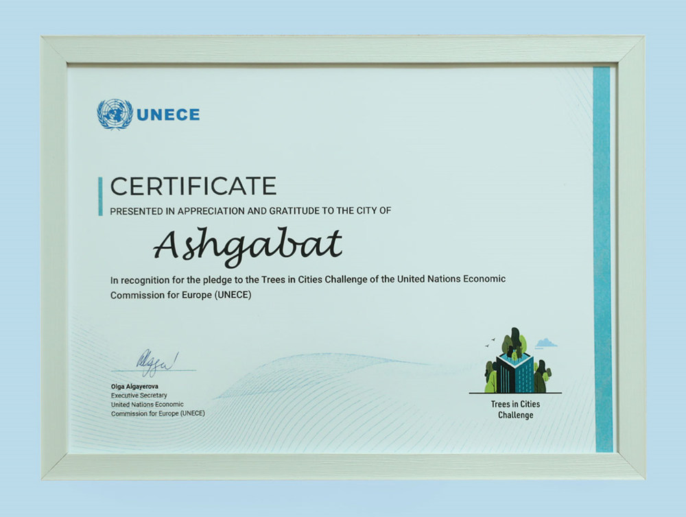 Aşgabat şäherine daşky gurşawy goramak babatda tagallalary üçin halkara güwänama berildi