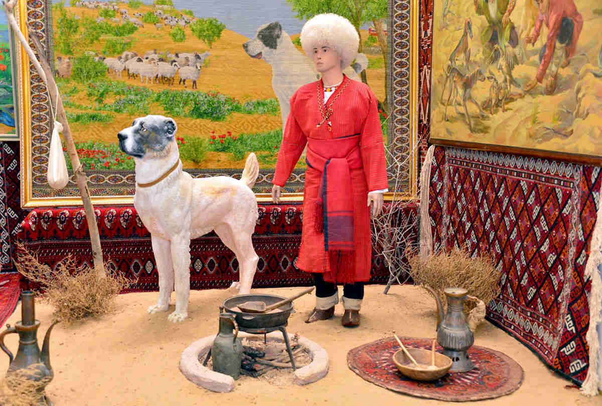 Aşgabatda mowzuklaýyn halkara ylmy-amaly maslahat we sergi geçirilýär