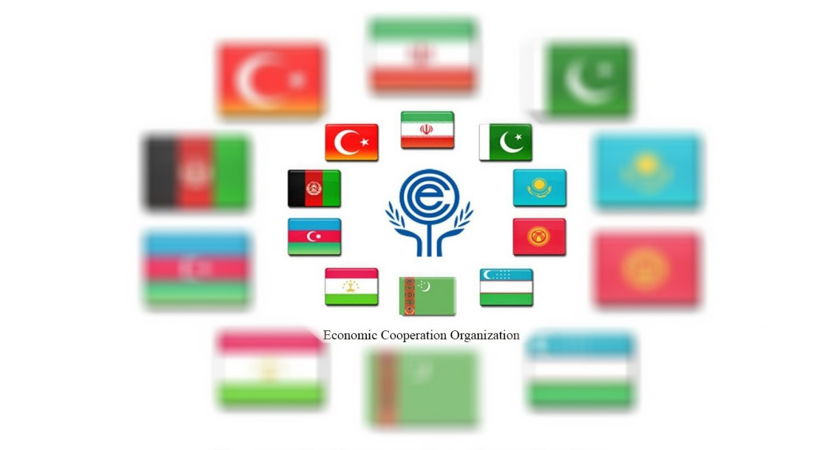 Daşary ýurtly hyzmatdaşlar bilen nobatdaky wideoduşuşyk