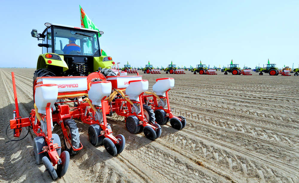 Daşoguzly pagtaçylar gowaça ekişine girişdiler