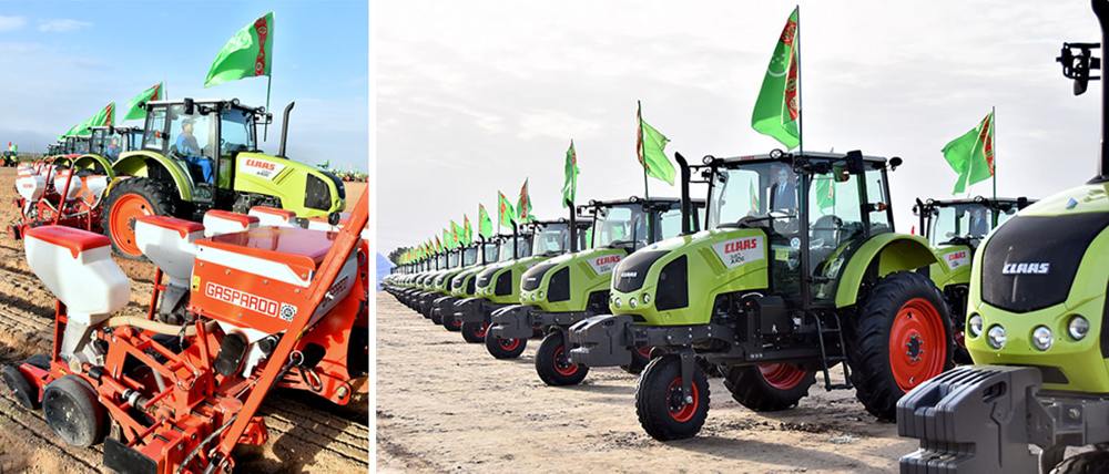 Daşoguzly pagtaçylar gowaça ekişine girişdiler