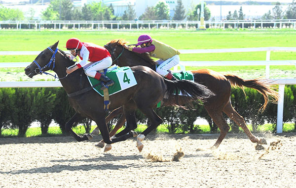 Güýzki at çapyşyklaryna sentýabr aýynyň başynda başlanar