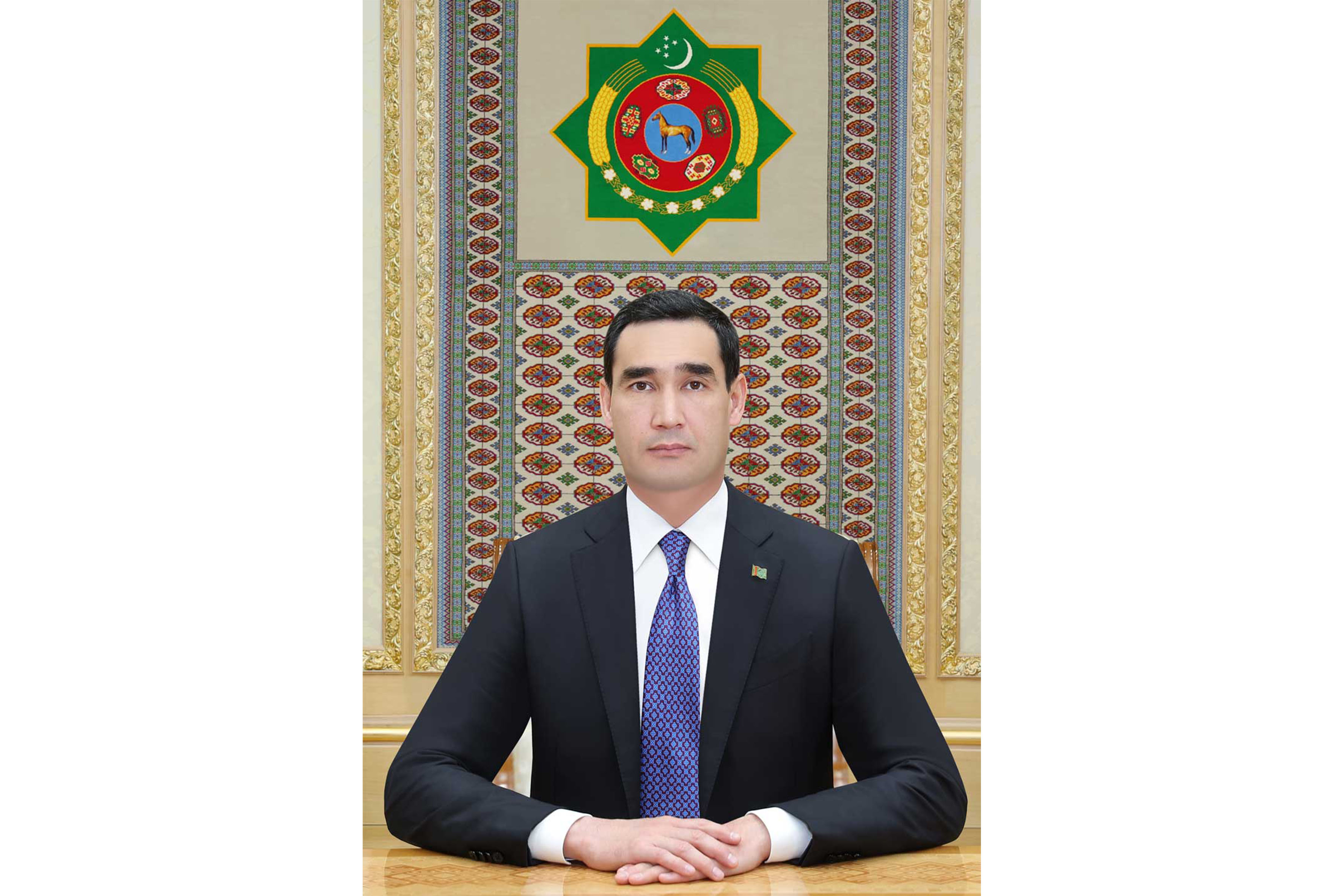 Hormatly Prezidentimiz Dimitri Kerkentzesi kabul etdi