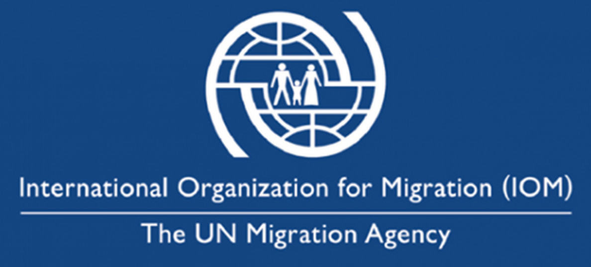 Hünärmenler migrasiýa meselelerini ara alyp maslahatlaşdylar