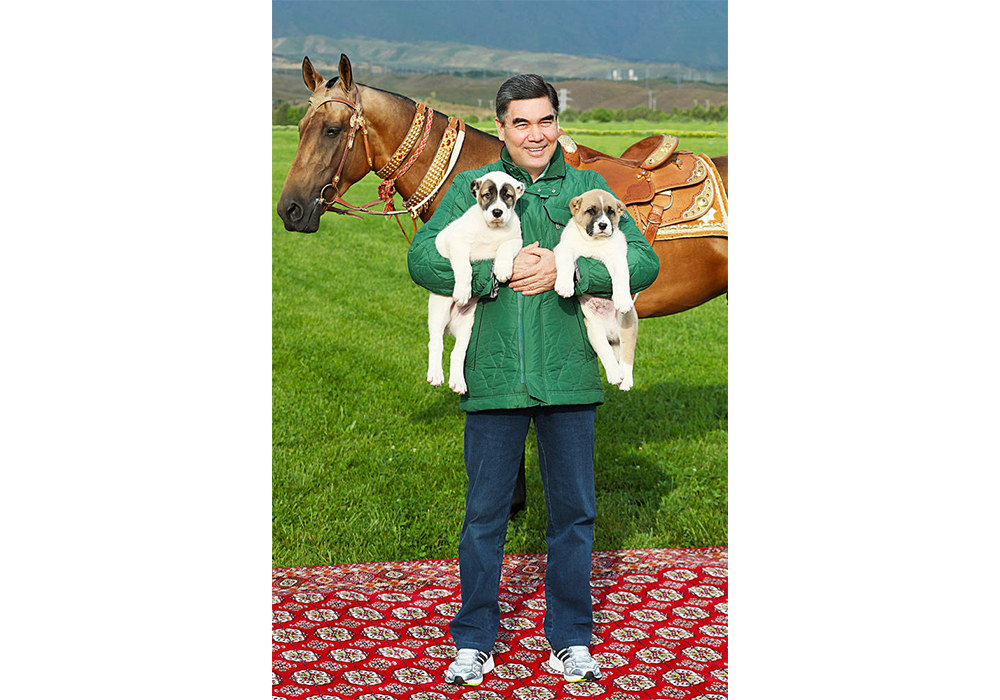 Milli Liderimiz Türkmenistanyň Prezidentiniň Ahalteke atçylyk toplumyna bardy we alabaý hakyndaky kitabynyň üstünde işlemegini dowam etdi