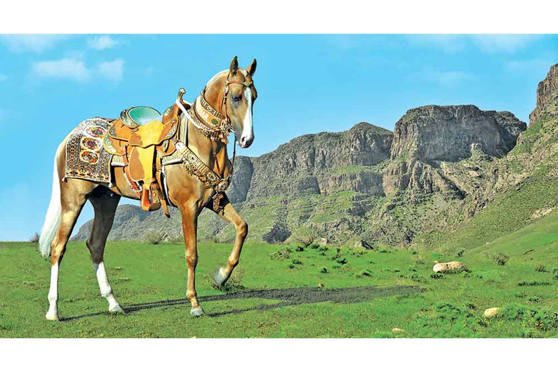 Türkmen bedewiniň milli baýramy mynasybetli Aşgabat şäherinde 2026-njy ýylyň 25-nji aprelinde ahalteke atlarynyň halkara gözellik bäsleşigini geçirmek bellenildi