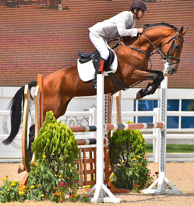 Türkmen bedewiniň şanyna: baýramçylyk dabaralaryna badalga berildi