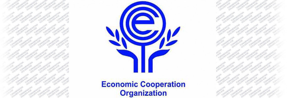 Türkmenistan YHG-nyň döwlet Baştutanlarynyň XV Sammitini geçirmäge taýýarlyk görýär