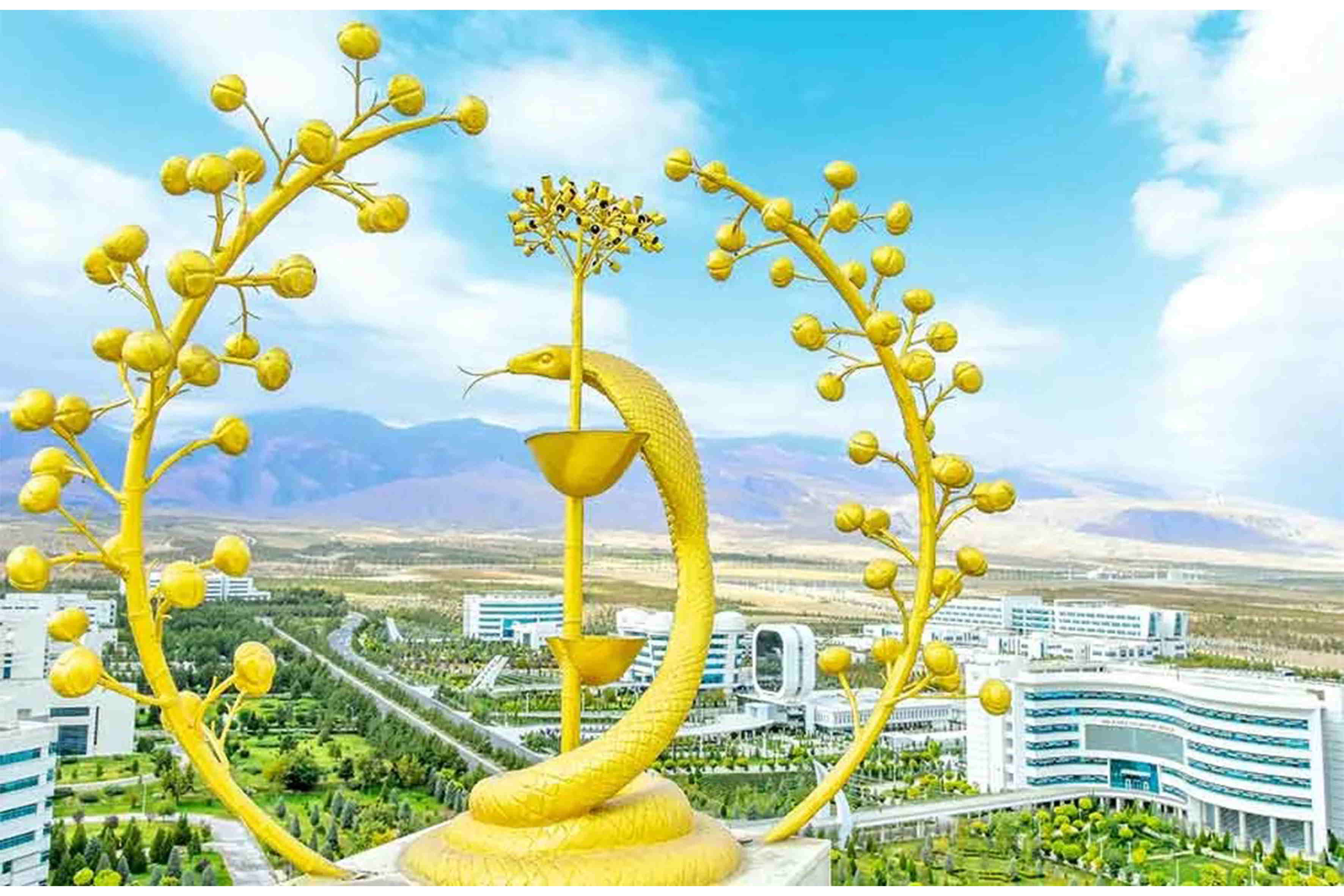 Türkmenistanda alkogolyň zyýanly täsiriniň öňüni almak boýunça 2025–2028-nji ýyllar üçin Milli maksatnamasy tassyklanyldy