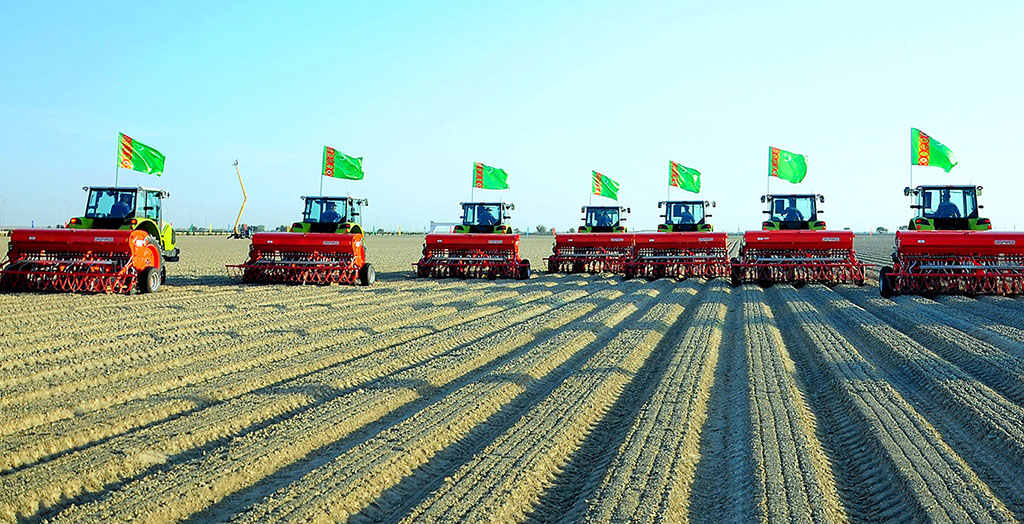Türkmenistanda bugdaý ekişi üstünlikli tamamlandy