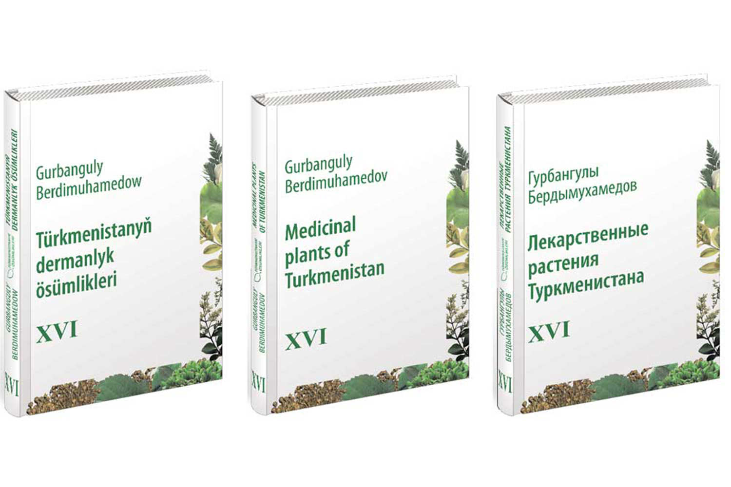 «Türkmenistanyň dermanlyk ösümlikleri» atly ylmy-ensiklopedik kitabyň XVI jildi çap edildi