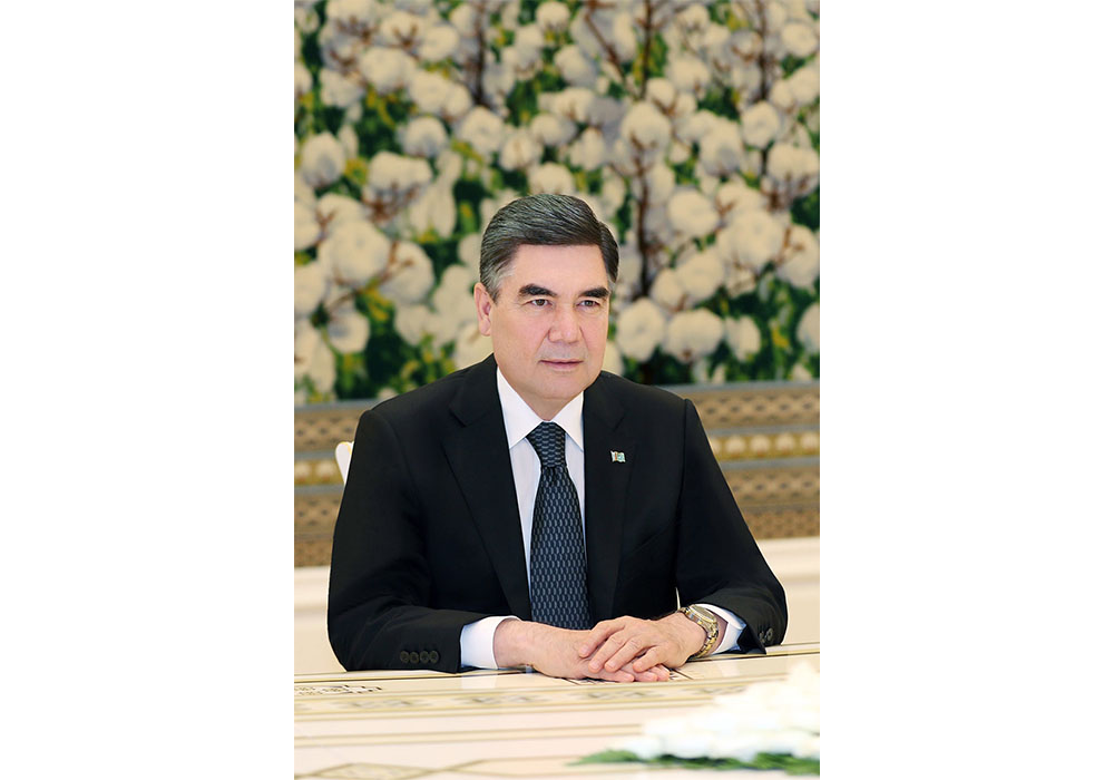 Türkmenistanyň Prezidenti Russiýa Federasiýasynyň Hökümetiniň Başlygynyň orunbasaryny kabul etdi