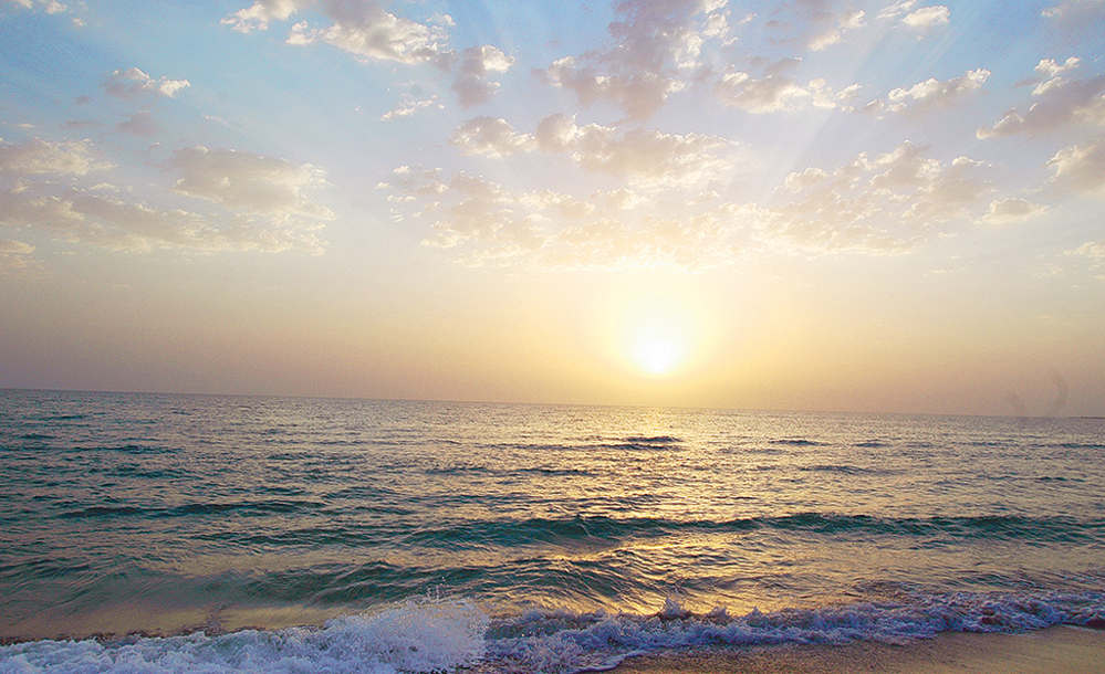 Türkmenistanda Hazar deňzi instituty döredildi