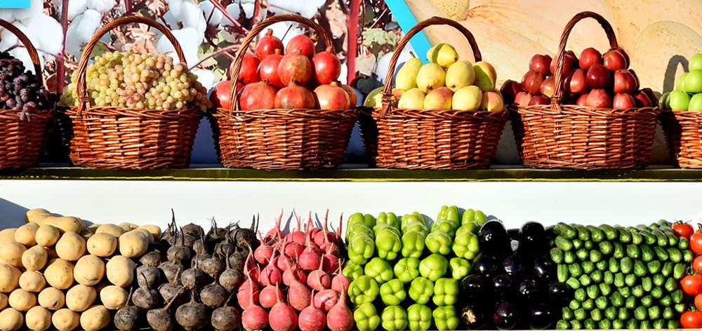 Ýanwar aýynda obasenagat toplumy boýunça ösüş depgini 110,4 göterime barabar boldy