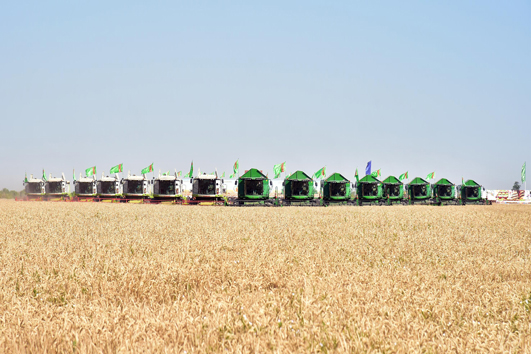 Ýurdumyzda galla oragyna girişildi