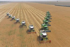 Ahal welaýatynyň ekerançylary galla taýýarlamak boýunça borçnamalaryny ýerine ýetirdiler