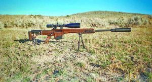 Bolt hereketli mergen tüpeň