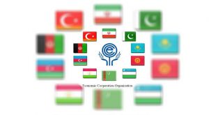 Daşary ýurtly hyzmatdaşlar bilen nobatdaky wideoduşuşyk