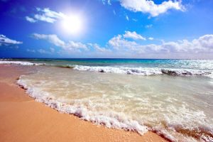 Daşky gurşawy goramagyň bütindünýä güni mynasybetli ylmy-amaly maslahat