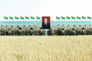 Daşoguz we Balkan welaýatlarynda galla oragyna girişildi