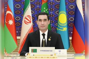 Garaşsyz Döwletleriň Arkalaşygynyň döwlet Baştutanlarynyň Geňeşiniň  mejlisi