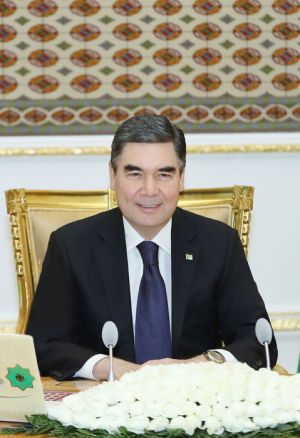 GDA gatnaşyjy döwletleriň Saglygy goraýyş babatda hyzmatdaşlyk boýunça geňeşiniň mejlisine gatnaşyjylara