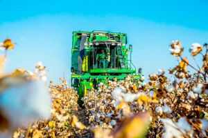 Gökdepe we Tagtabazar etraplarynyň edermen pagtaçylary uly zähmet ýeňşini gazandylar