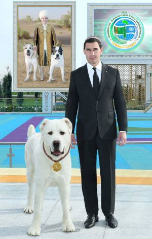 Halkara «Türkmen alabaý itleri» assosiasiýasynyň täze düzümleýin desgalary açyldy