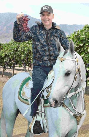 Halkyň ruhubelentligi hem-de döredijilik ylhamy — Watanymyzyň Rowaçlygy