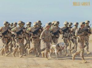 Harby gullukçylaryň ebedi hemrasy