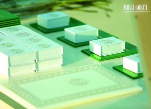 Harby ylymlara aýgytly ädim