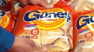 Hususy ulgamy höweslendirmek boýunça meýilnamalaýyn çäreler durmuşa geçiriler