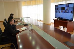 Migrasiýa boýunça halkara guramasynyň sebitleýin başlangyjynyň onlaýn-tanyşdyrylyşy