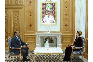 Möhüm ähmiýetli duşuşyk