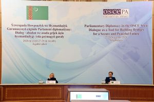 Parlament diplomatiýasy dabaralanýar