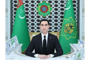 Sanly ulgam arkaly iş maslahaty