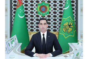 Sanly ulgam arkaly iş maslahaty geçirildi