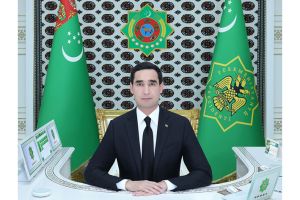 Sanly ulgam arkaly iş maslahatyny geçirdi