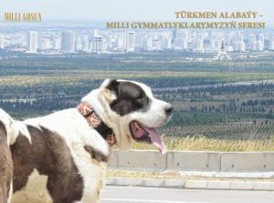 Türkmen alabaýy – milli gymmatlyklarymyzyň seresi