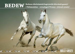 Türkmen bedewiniň milli baýramyna