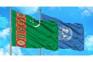 «Türkmenistan – BMG» strategik maslahat beriş geňeşiniň birinji mejlisi