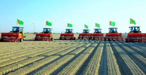 Türkmenistanda bugdaý ekişi üstünlikli tamamlandy